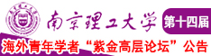 大鸡吧插阴近距离看电影网址南京理工大学第十四届海外青年学者紫金论坛诚邀海内外英才！